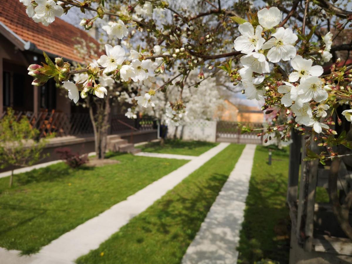 Ferienwohnung Turul -Kuca Za Odmor- Korod Exterior foto